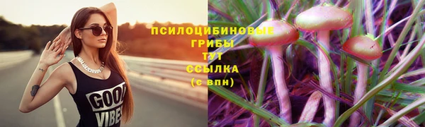 гидра Алексин