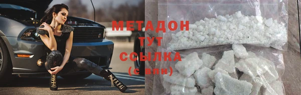 амф Ельня